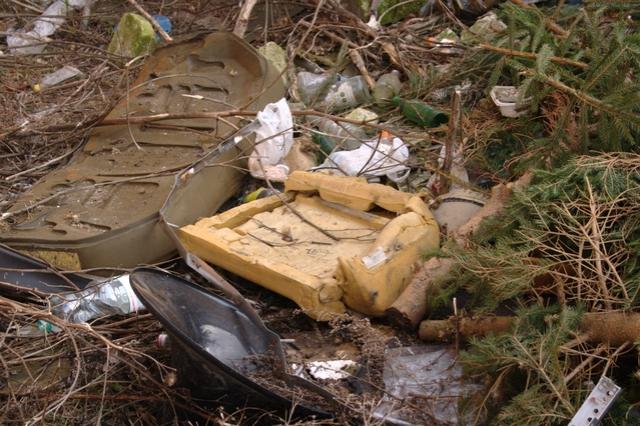 Wielkie porządki wokół przychodni zdjęcie nr 20567