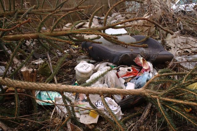 Wielkie porządki wokół przychodni zdjęcie nr 20569