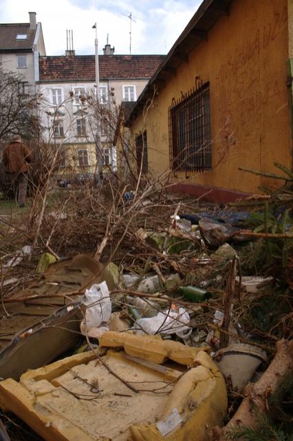 Wielkie porządki wokół przychodni zdjęcie nr 20571