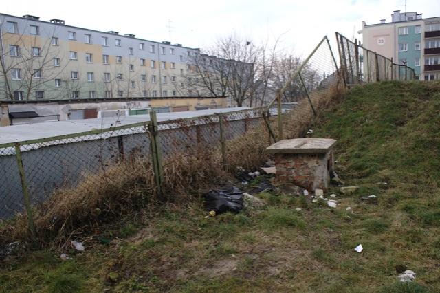 Wielkie porządki wokół przychodni zdjęcie nr 20572