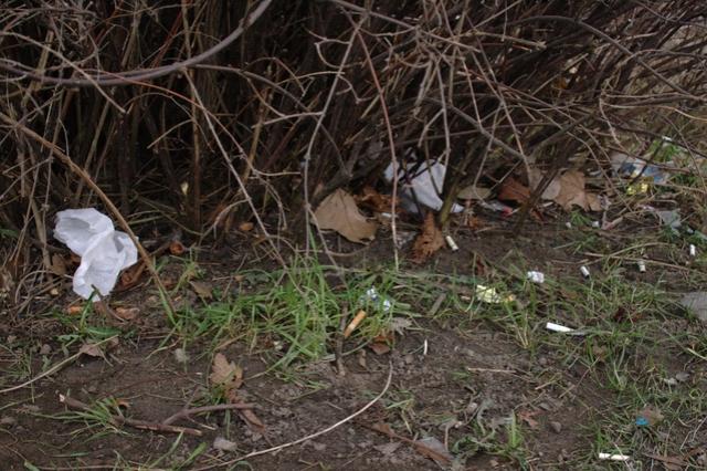 Wielkie porządki wokół przychodni zdjęcie nr 20575