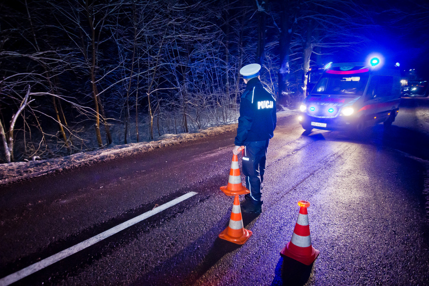 Czołowe zderzenie pod Dąbrową zdjęcie nr 254009