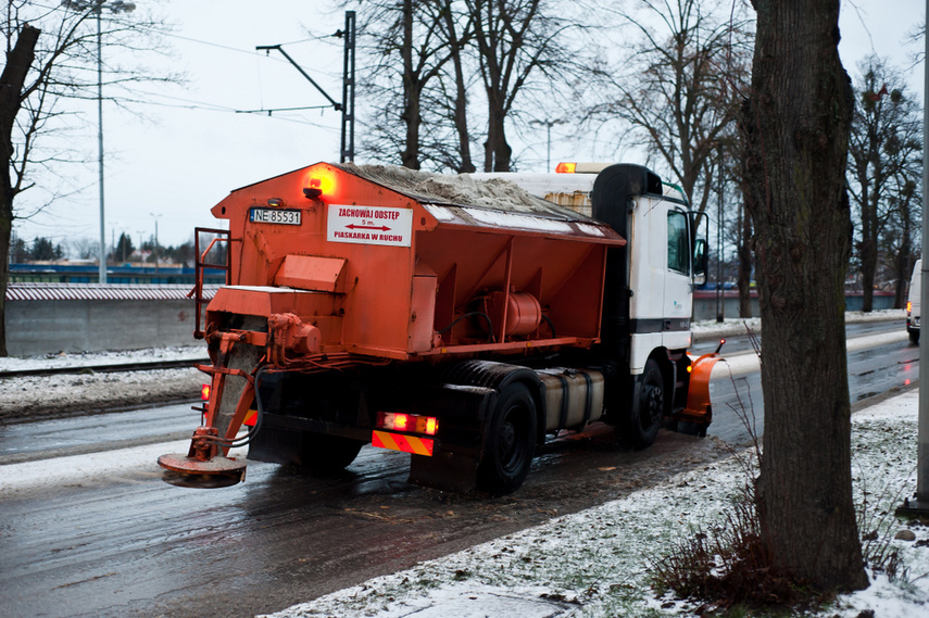 Drzewo spadło na dwie osoby zdjęcie nr 254327