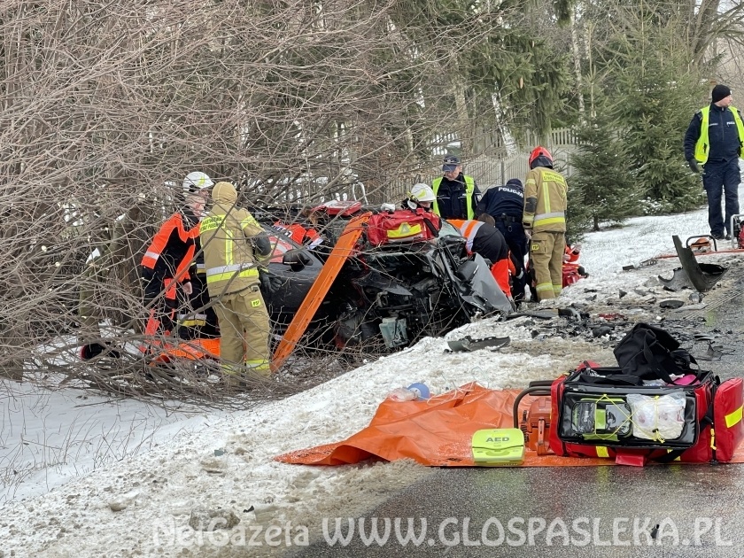 Wypadek pod Pasłękiem zdjęcie nr 254600