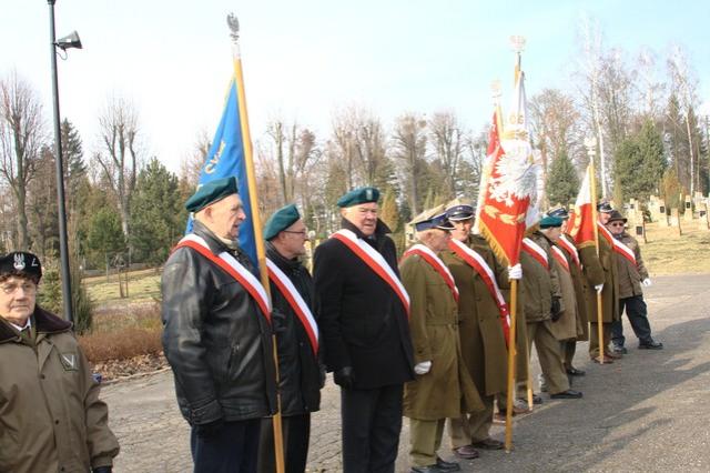 10. lutego zdjęcie nr 20635