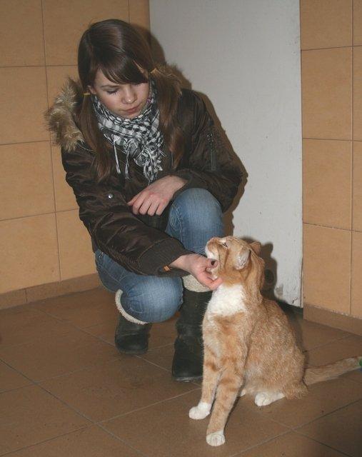 Z wizytą w schronisku zdjęcie nr 20660