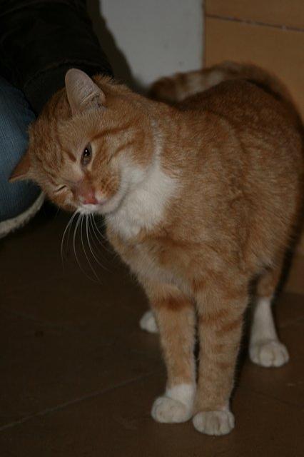 Z wizytą w schronisku zdjęcie nr 20655