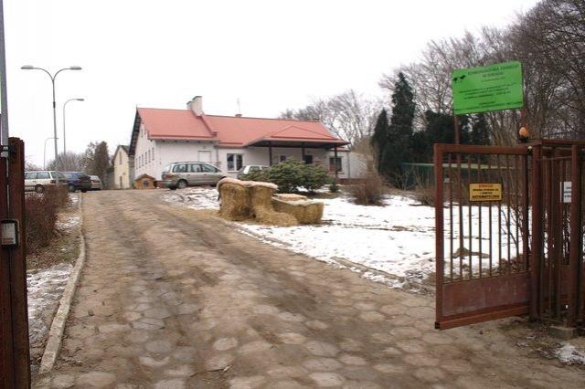 Z wizytą w schronisku zdjęcie nr 20649