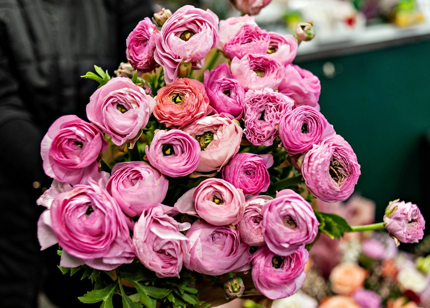 Dzień Kobiet z Kwiaciarnią Romantyczna zdjęcie nr 256791