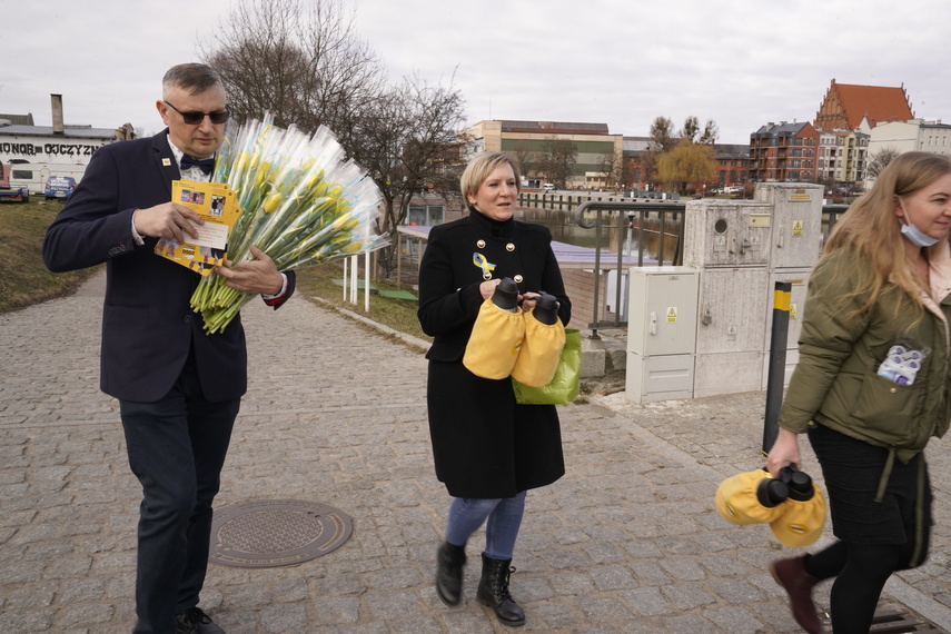 Żółte tulipany dla elblążanek od Ruchu Polska 2050 z okazji Dnia Kobiet  zdjęcie nr 257036