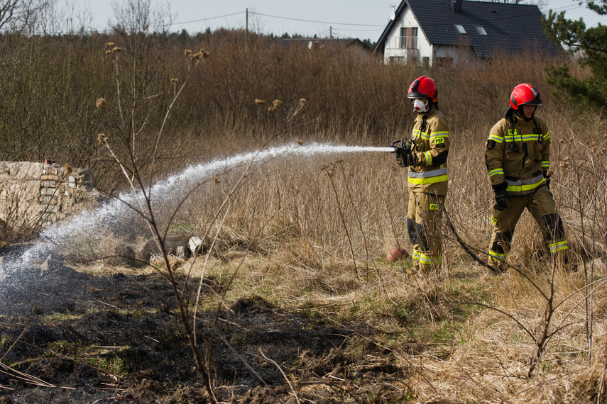 Pożar traw w Gronowie Górnym zdjęcie nr 258063