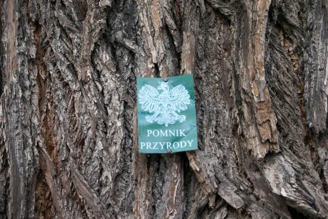 Park Planty zdjęcie nr 20933