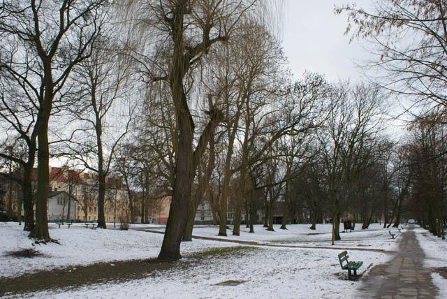 Park Planty zdjęcie nr 20926
