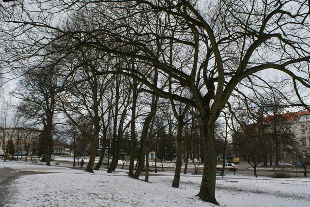 Park Planty zdjęcie nr 20936