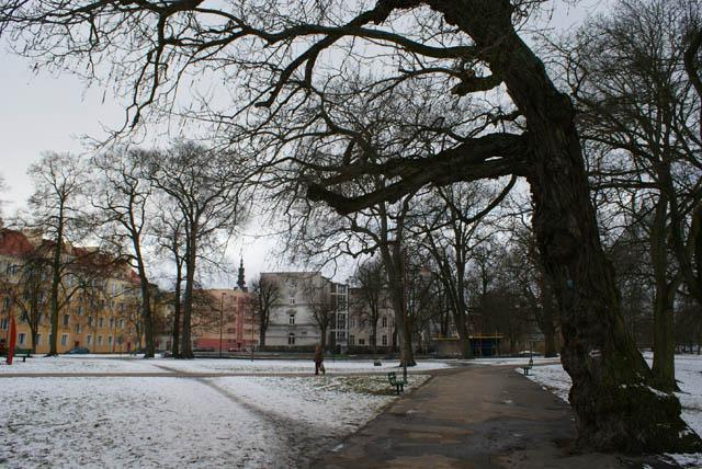 Park Planty zdjęcie nr 20931