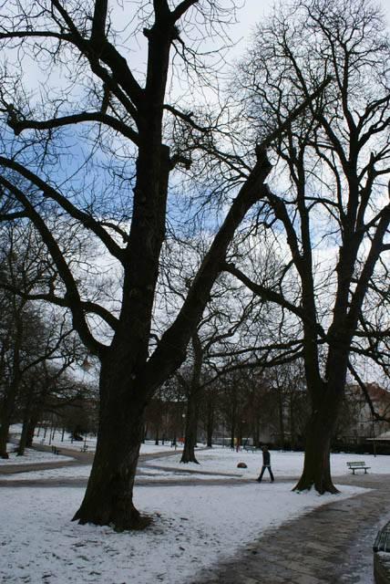 Park Planty zdjęcie nr 20938
