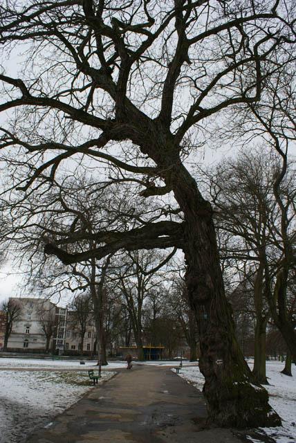 Park Planty zdjęcie nr 20932