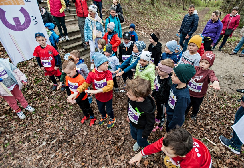 Długodystansowo po Wysoczyźnie Elbląskiej zdjęcie nr 259280