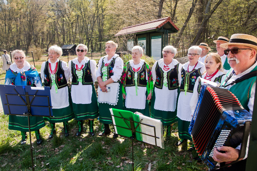 Długodystansowo po Wysoczyźnie Elbląskiej zdjęcie nr 259257