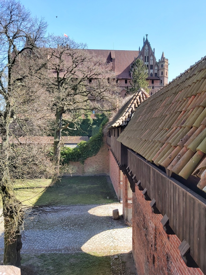 Zamek pełen elbląskich akcentów zdjęcie nr 259488