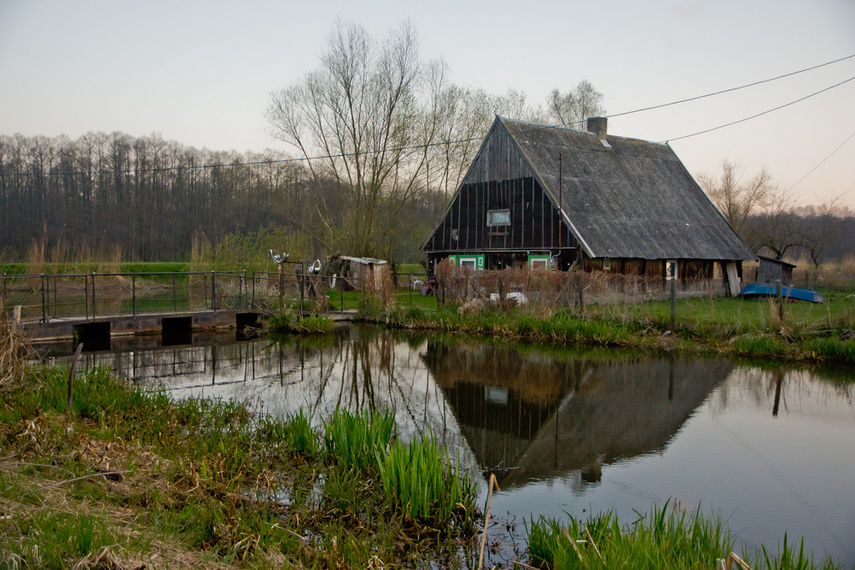 Zamiast spania okazja przyrody podziwiania zdjęcie nr 259564