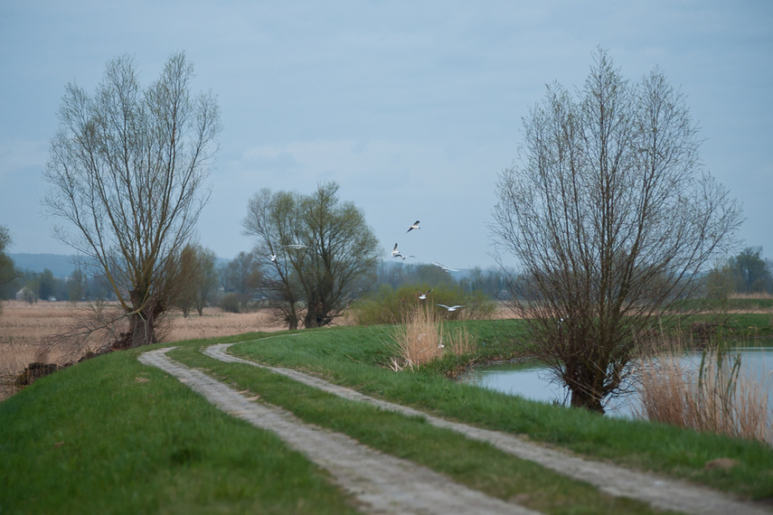 Zamiast spania okazja przyrody podziwiania zdjęcie nr 259558