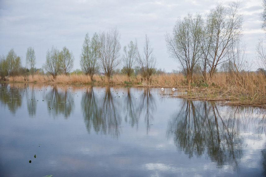 Zamiast spania okazja przyrody podziwiania zdjęcie nr 259561