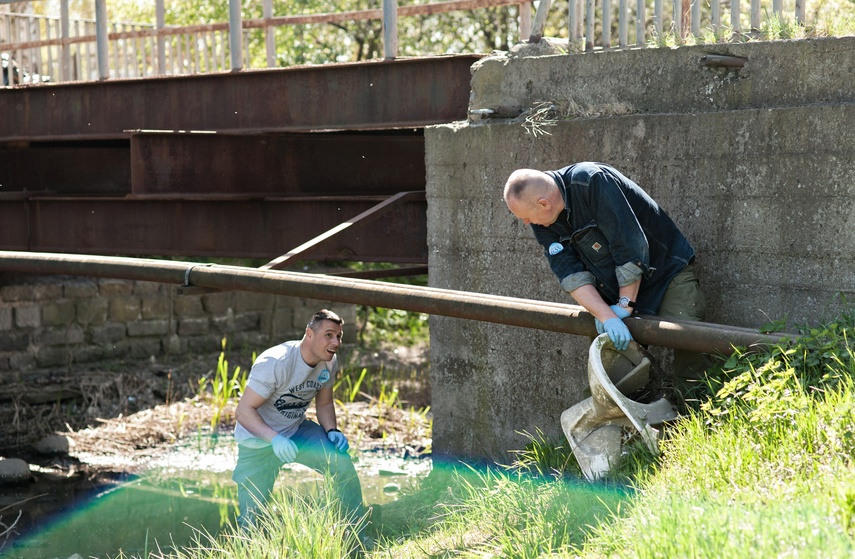 Fosa na wysoki połysk zdjęcie nr 259848