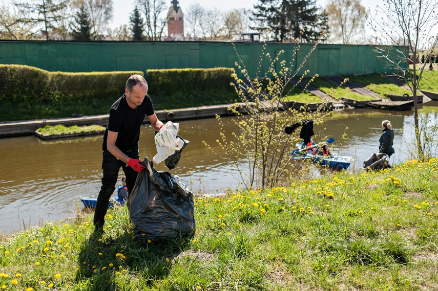 Fosa na wysoki połysk zdjęcie nr 259834