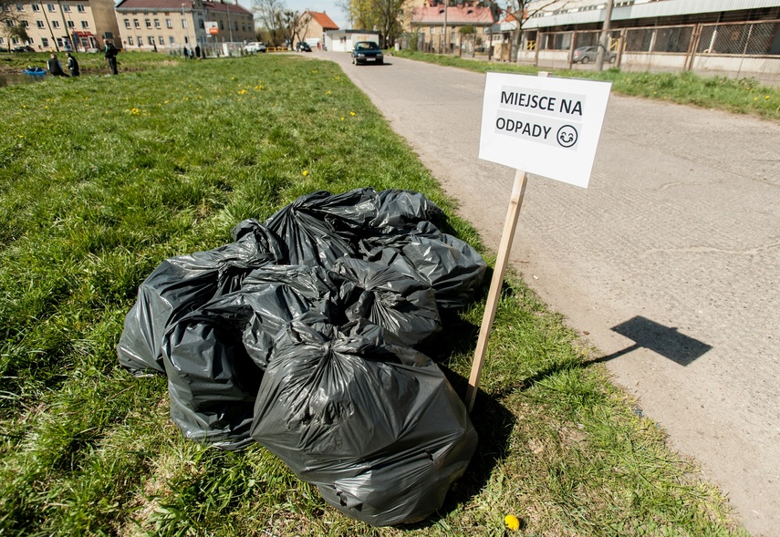 Fosa na wysoki połysk zdjęcie nr 259842