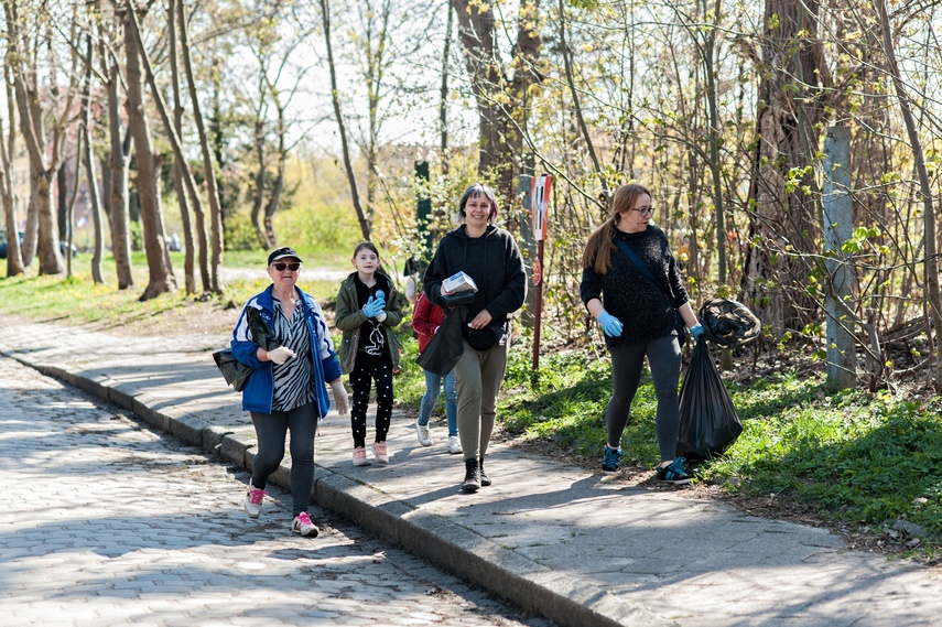 Fosa na wysoki połysk zdjęcie nr 259850