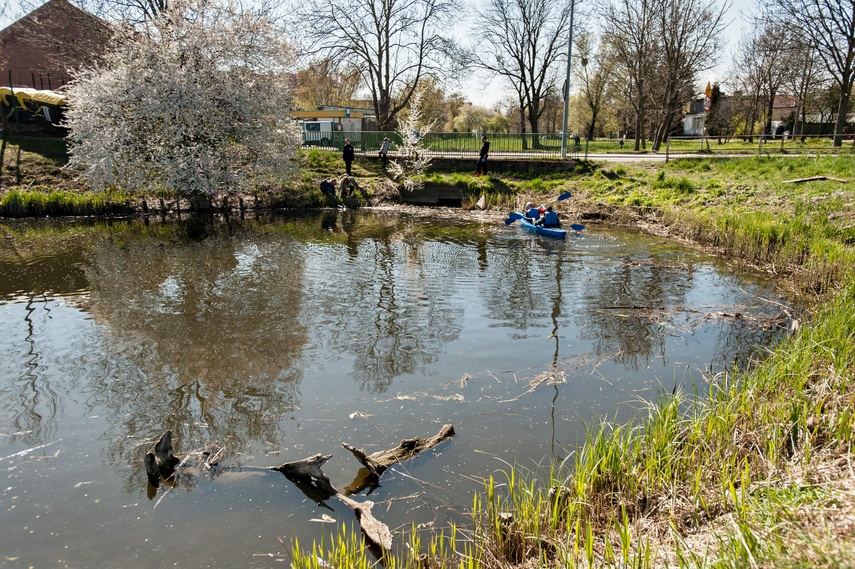 Fosa na wysoki połysk zdjęcie nr 259843