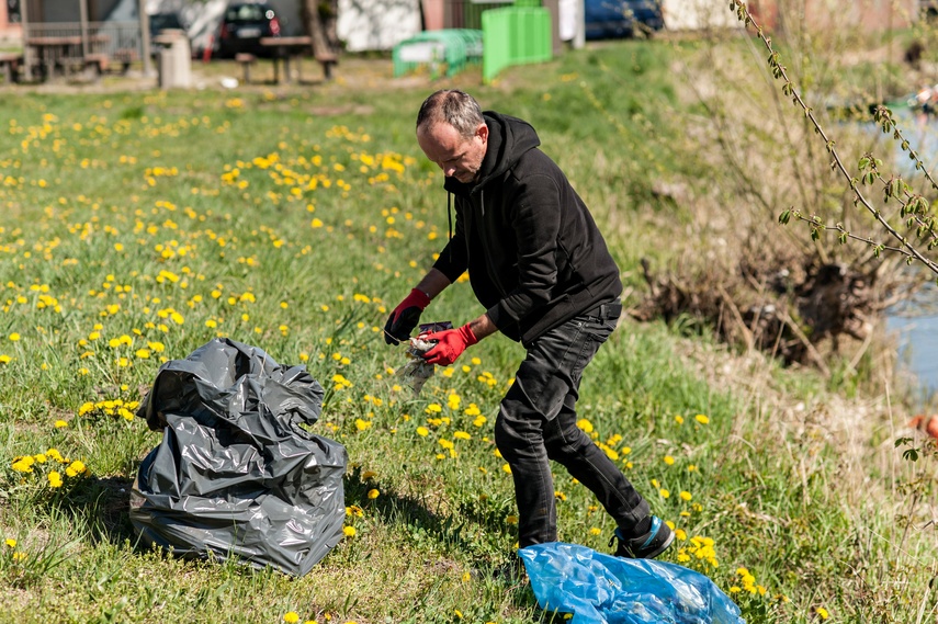 Fosa na wysoki połysk zdjęcie nr 259829