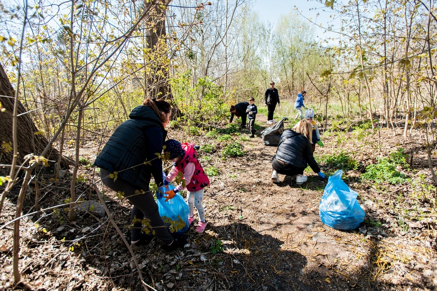 Fosa na wysoki połysk zdjęcie nr 259851