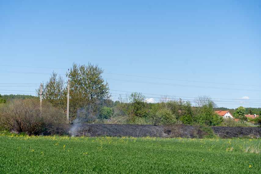 Płoną trawy, strażacy apelują i ostrzegają zdjęcie nr 260831