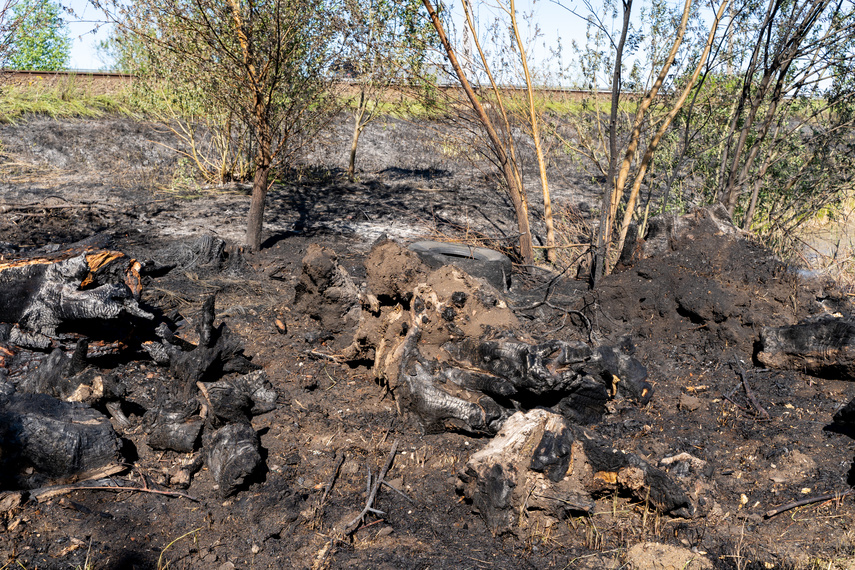 Płoną trawy, strażacy apelują i ostrzegają zdjęcie nr 260832