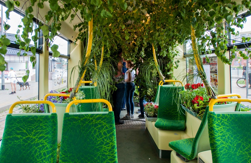 "Tramwaj zielony przez ulice mego miasta mknie... zdjęcie nr 262244