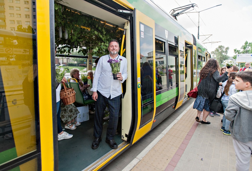 "Tramwaj zielony przez ulice mego miasta mknie... zdjęcie nr 262263