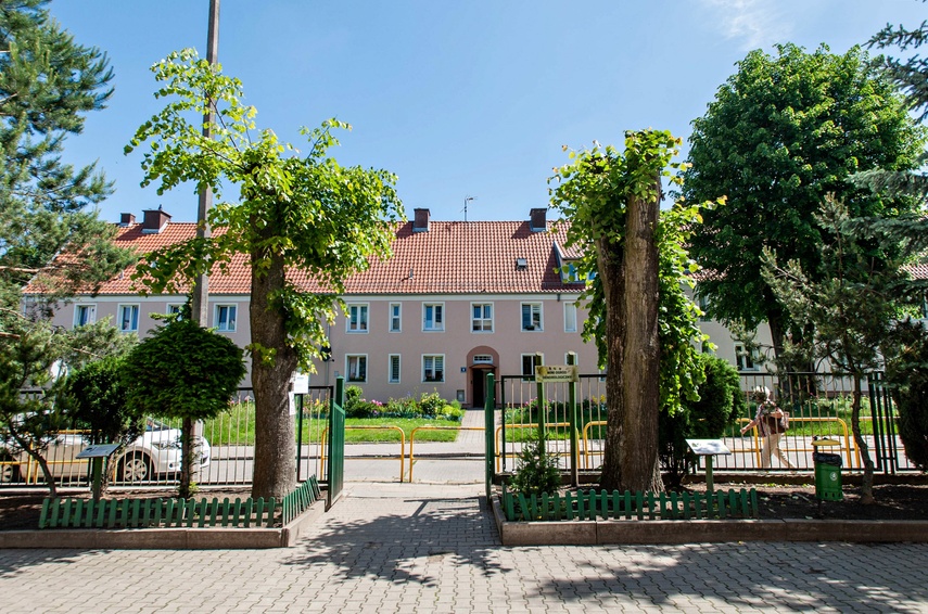 Greenwashing po elbląsku zdjęcie nr 262866