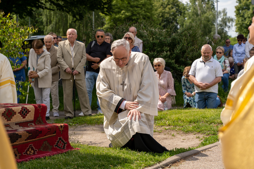  Przez miasto przejdą procesje zdjęcie nr 262977