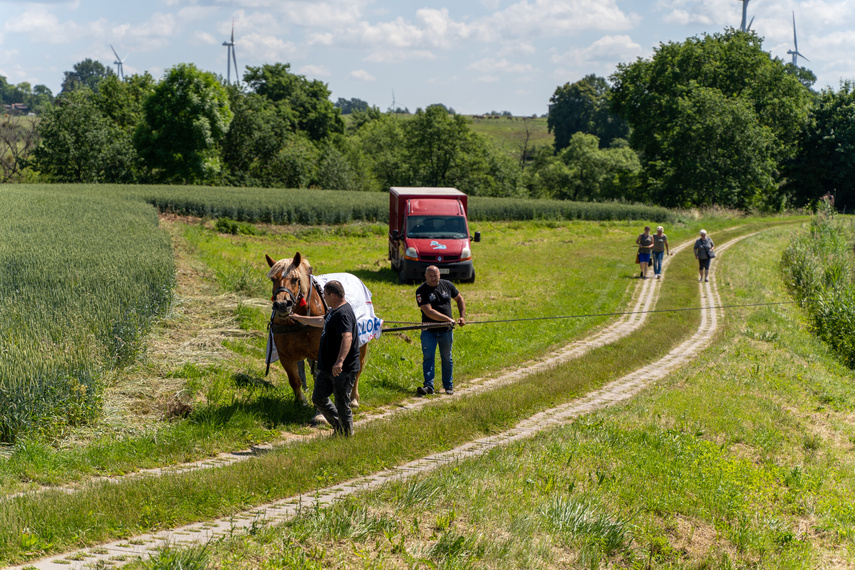 Tratwa, klacz i kanał zdjęcie nr 263477