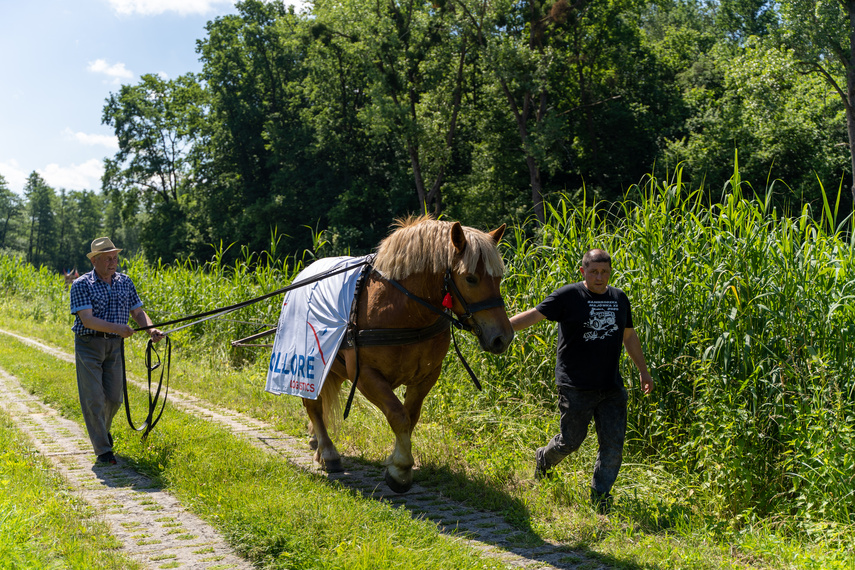 Tratwa, klacz i kanał zdjęcie nr 263462