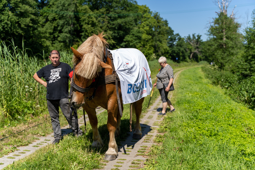 Tratwa, klacz i kanał zdjęcie nr 263455