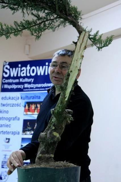 Sztuka bonsai zdjęcie nr 21357