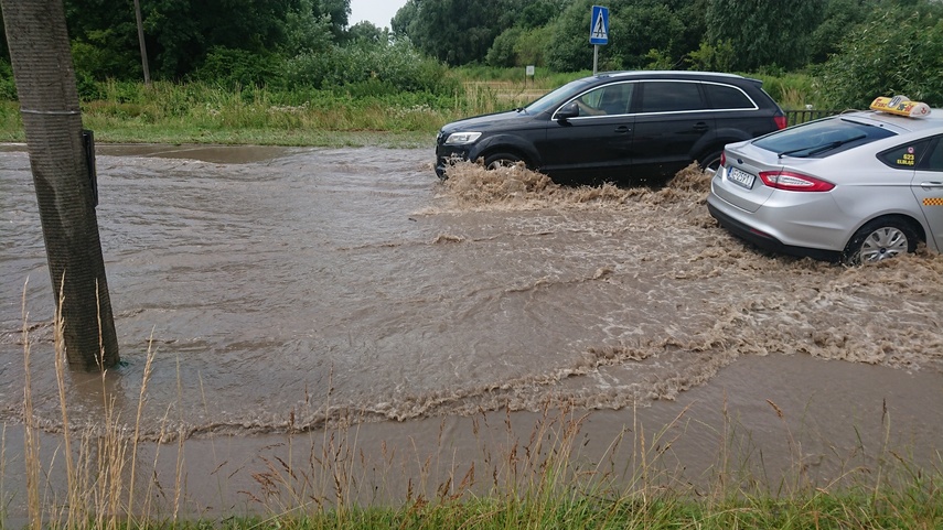 Wichry i burze w Elblągu zdjęcie nr 264216