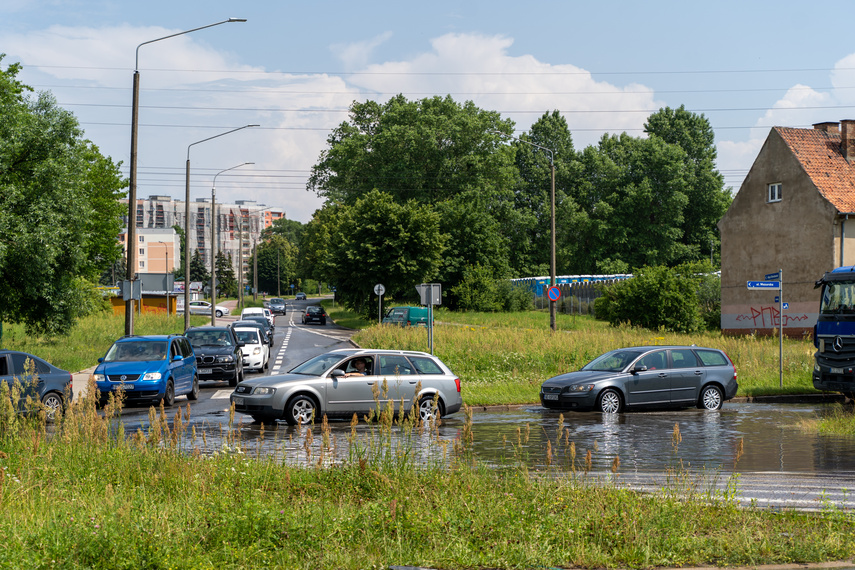  Wichry i burze w Elblągu  zdjęcie nr 264232