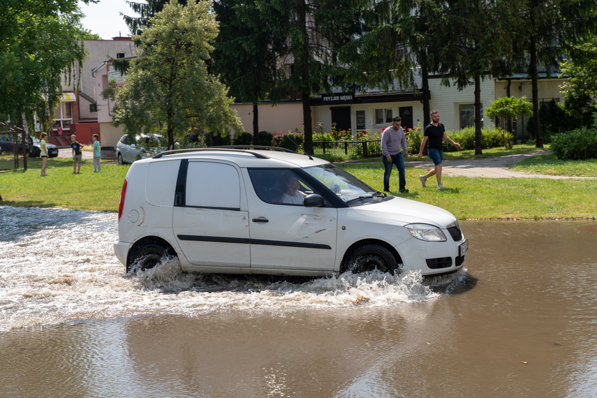  Wichry i burze w Elblągu  zdjęcie nr 264235