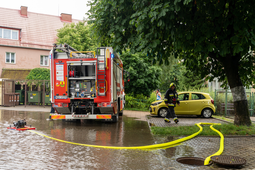  Wichry i burze w Elblągu  zdjęcie nr 264273