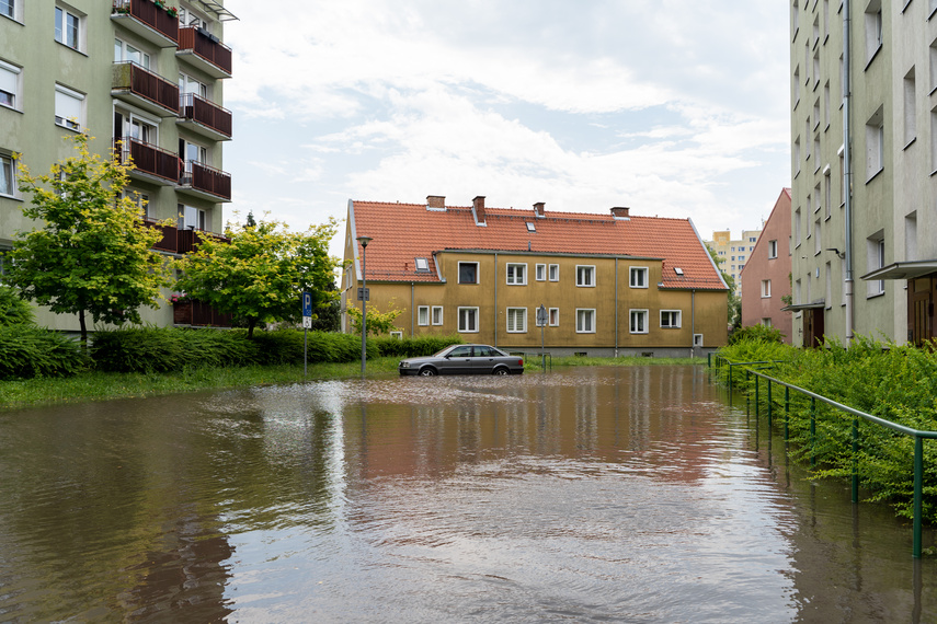  Wichry i burze w Elblągu  zdjęcie nr 264257