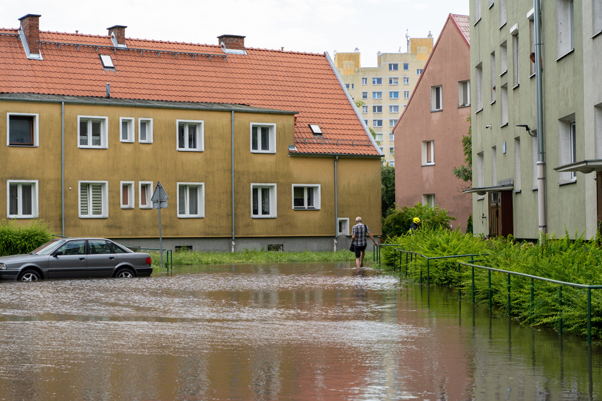  Wichry i burze w Elblągu  zdjęcie nr 264259